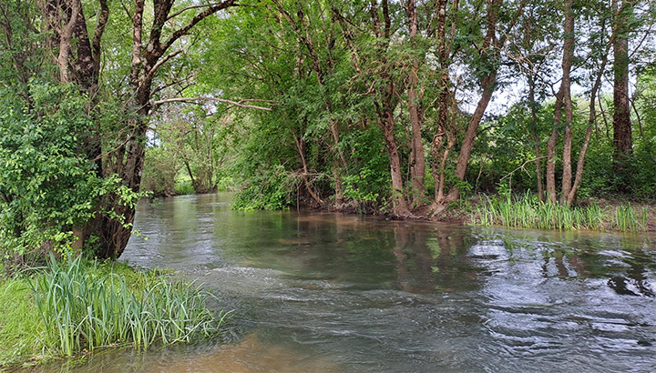 Découverte de la biodiversité autour de l'hippodrome de Montignac-Charente